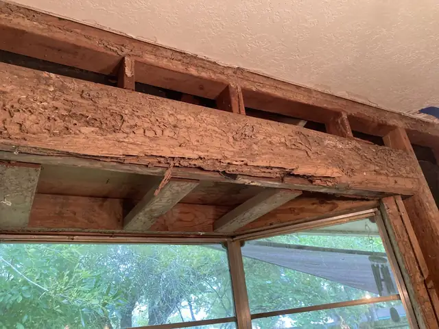 Termite-damaged wood header above a window, exposed after the drywall was removed