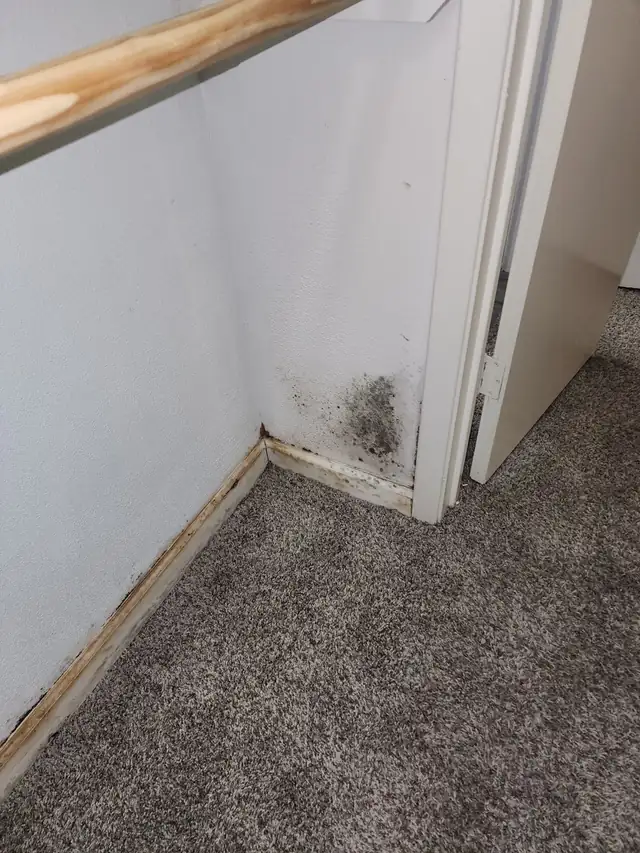 Closet corner with damaged baseboard and stained wall before repair